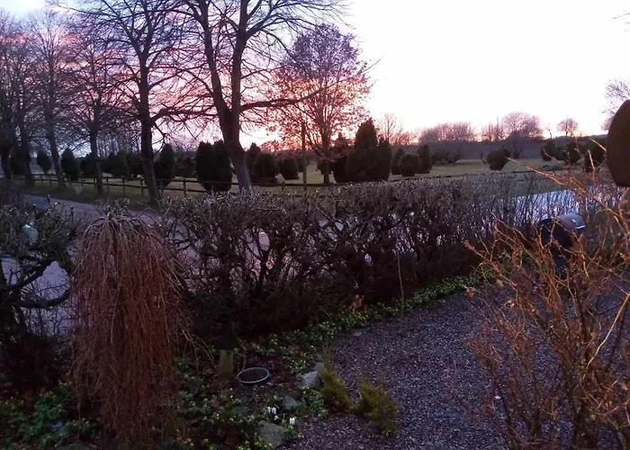 Lilla Roeda Halmstadby 3524, Kageroed